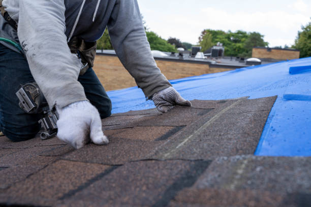 Best Roof Restoration Services  in Kane, PA